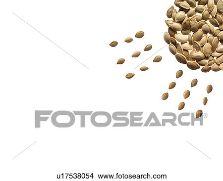 Picture - Studio shot of Pumpkin Seed in sun shape on white background. Fotosearch