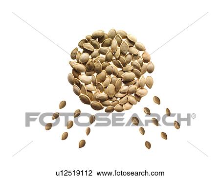 Stock Image - Studio shot of Pumpkin Seed in sun shape on white background. Fotosearch
