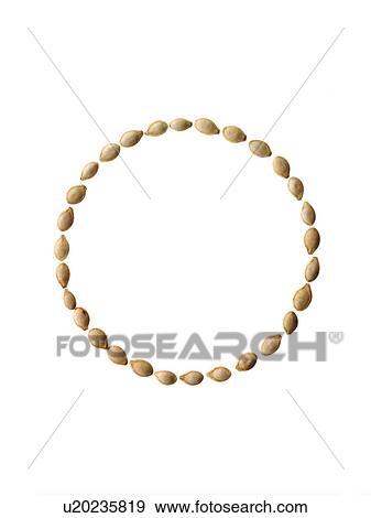 Studio shot of Pumpkin Seeds on white background View Large Photo Image Stock Photo - Studio shot of Pumpkin Seeds on white background. Fotosearch