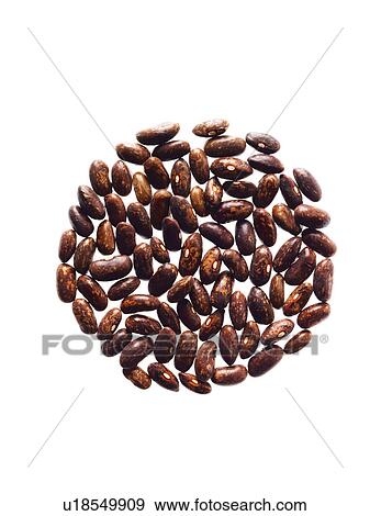 Studio shot of Red Bean Seeds on white background View Large Photo Image Stock Photo - Studio shot of Red Bean Seeds on white background. Fotosearch