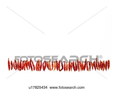 Picture - Studio shot of Red Chili Peppers on white background. Fotosearch