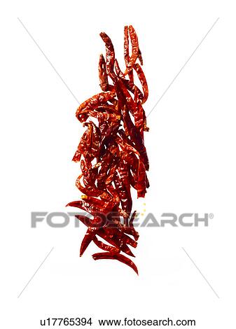 Studio shot of red chili peppers View Large Photo Image Picture - Studio shot of red chili peppers. Fotosearch