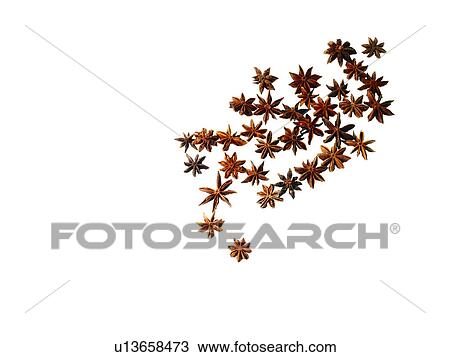 Studio shot of star anise View Large Photo Image Stock Image - Studio shot of star anise. Fotosearch