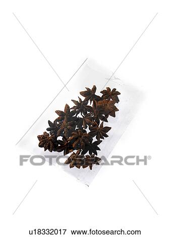 Studio shot of star anise View Large Photo Image Stock Photo - Studio shot of star anise. Fotosearch