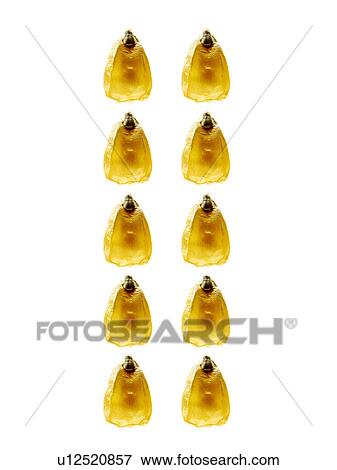 Studio shot of Yellow Corn Seeds on white background View Large Photo Image Stock Photo - Studio shot of Yellow Corn Seeds on white background. Fotosearch