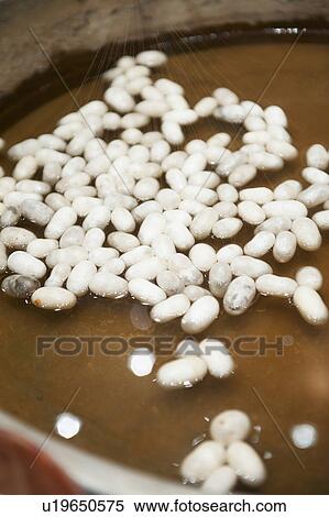 Stock Photography - Turkey, Ephesus, Silk cocoons for rug weaving. Fotosearch