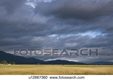 Stock Image - USA, California, Lassen County, Dramatic sky over pasture. Fotosearch