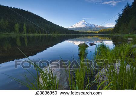 Stock Image - USA, Oregon, Clackamas County, View of Trillium Lake with Mt Hood in background. Fotosearch