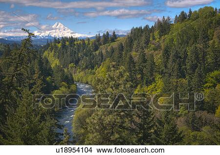 Picture - USA, Oregon, High angle view of Hood river with Mt Hood in background. Fotosearch