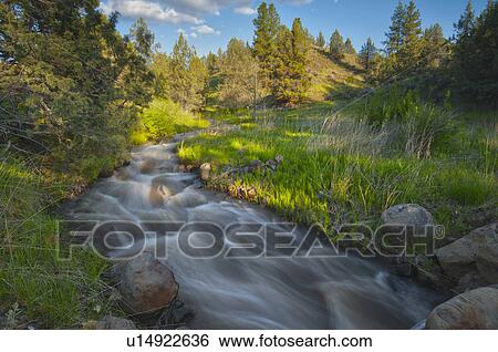 USA, Oregon, Kimberly, Scenic view of Rushing Creek View Large Photo Image Stock Photograph - USA, Oregon, Kimberly, Scenic view of Rushing Creek. Fotosearch