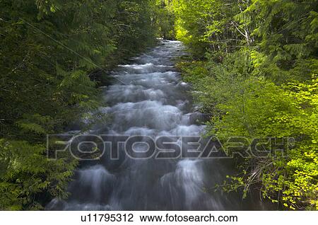 Stock Image - USA, Oregon, Linn County, View of Marion Creek. Fotosearch