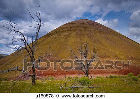 Stock Image - USA, Oregon, Mitchell, Scenic view of hill. Fotosearch