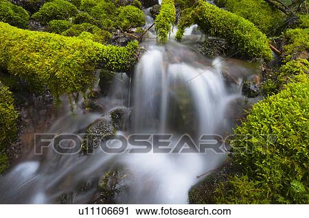 Stock Image - USA, Oregon, Mount Jefferson Wilderness, Scenic waterfall. Fotosearch