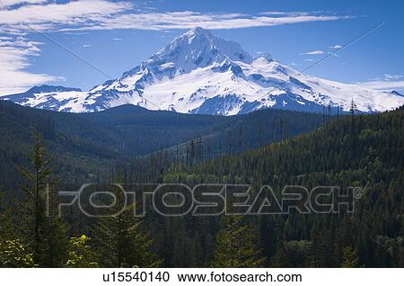 USA, Oregon, View of Mount Hood View Large Photo Image Stock Image - USA, Oregon, View of Mount Hood. Fotosearch