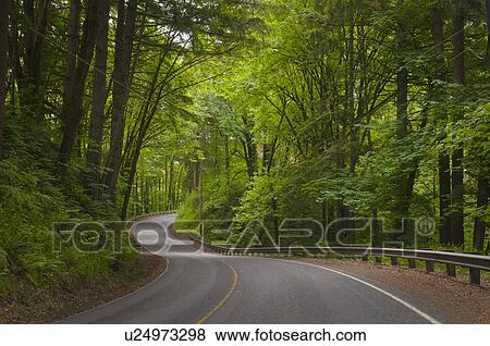 USA, Oregon, Yamhill County, Newberg, View of Wilsonville Highway View Large Photo Image Stock Photo - USA, Oregon, Yamhill County, Newberg, View of Wilsonville Highway. Fotosearch