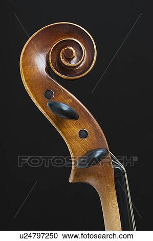 Violin head View Large Photo Image Stock Image - Violin head. Fotosearch