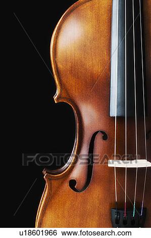 Stock Photograph - Violin strings. Fotosearch