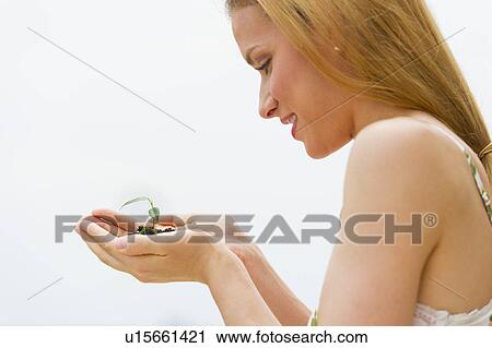 Woman holding seedling View Large Photo Image Stock Image - Woman holding seedling. Fotosearch