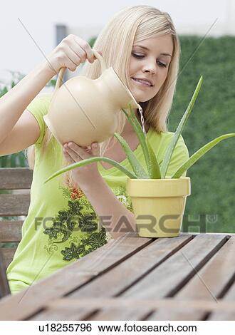 Stock Photograph - Young woman watering plant. Fotosearch