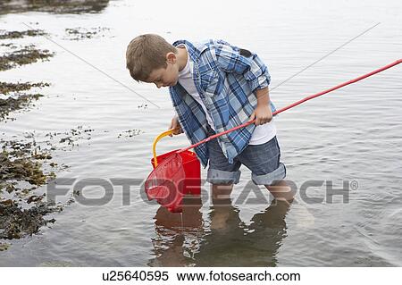 Boy collecting shells View Large Photo Image Stock Photography - Boy collecting shells. Fotosearch