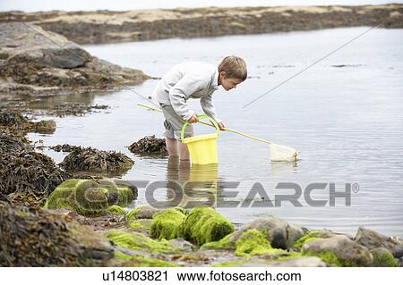 Boy on beach collecting shells View Large Photo Image Stock Image - Boy on beach collecting shells. Fotosearch