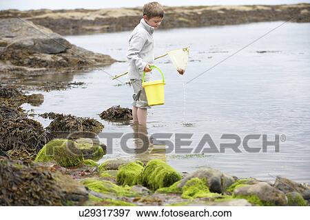 Stock Photo - Boy on beach collecting shells. Fotosearch