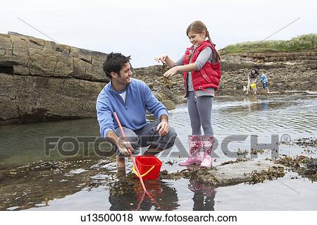 Family with seaweed View Large Photo Image Stock Photo - Family with seaweed. Fotosearch