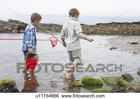 Stock Photograph - Two boys collecting shells on beach. Fotosearch