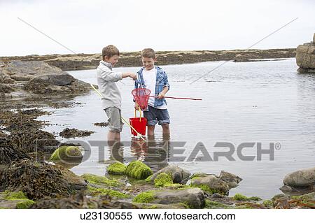 Two boys collecting shells on beach View Large Photo Image Stock Photography - Two boys collecting shells on beach. Fotosearch