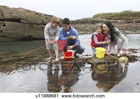 Young family at beach collecting shells View Large Photo Image Stock Image - Young family at beach collecting shells. Fotosearch