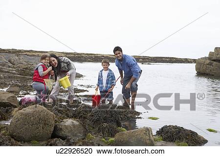 Young family at beach collecting shells View Large Photo Image Stock Image - Young family at beach collecting shells. Fotosearch