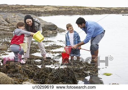 Stock Photo - Young family at beach collecting shells. Fotosearch