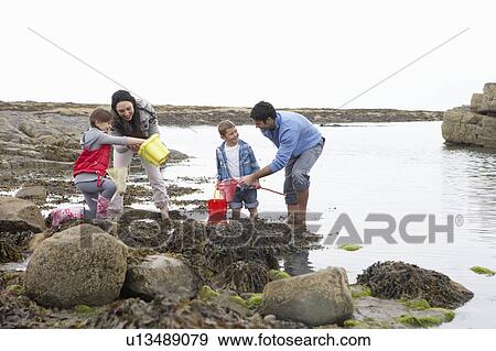 Young family at beach collecting shells View Large Photo Image Stock Photo - Young family at beach collecting shells. Fotosearch