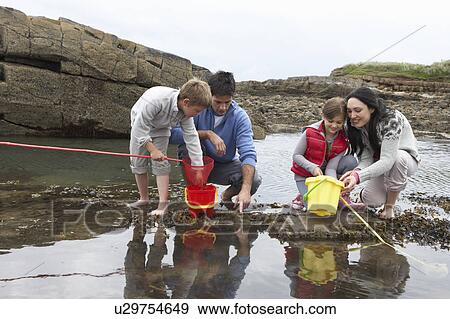 Young family at beach collecting shells View Large Photo Image Stock Photo - Young family at beach collecting shells. Fotosearch