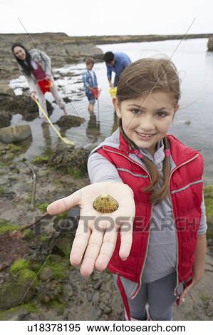 Stock Photography - Young family at beach collecting shells. Fotosearch