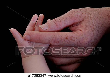 Stock Photo - Adult hand holding a baby's hand. Fotosearch