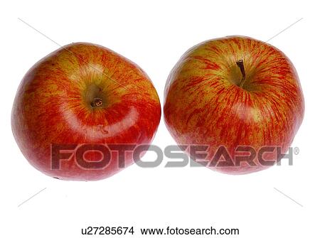 Picture - Apples. Fotosearch