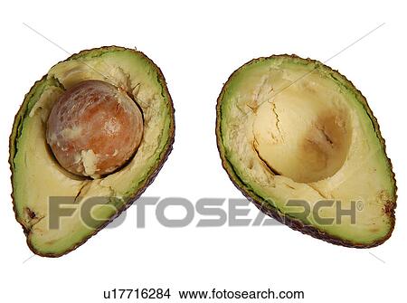 Avocado View Large Photo Image Picture - Avocado. Fotosearch