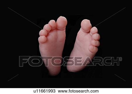 Stock Image - Babies feet. Fotosearch