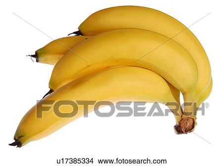 Picture - Bananas. Fotosearch
