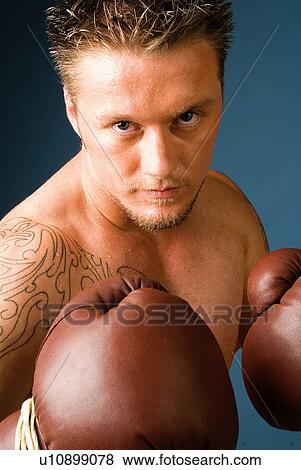 Boxer View Large Photo Image Stock Photo - Boxer. Fotosearch