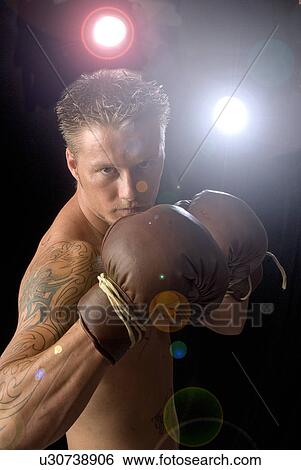 Boxer View Large Photo Image Stock Photograph - Boxer. Fotosearch