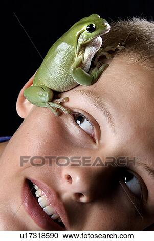 Boy with green frog View Large Photo Image Stock Image - Boy with green frog. Fotosearch