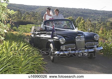 Bridal car View Large Photo Image Stock Photograph - Bridal car. Fotosearch