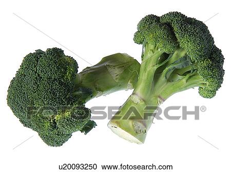 Stock Image - Broccoli. Fotosearch
