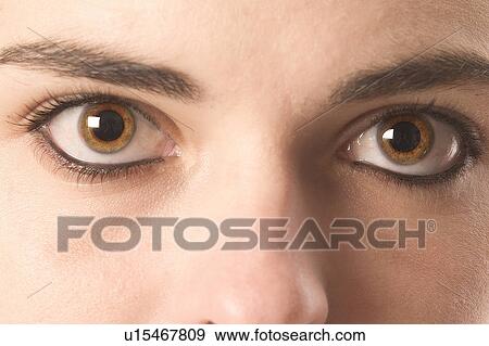 Brown eyes View Large Photo Image Stock Photo - Brown eyes. Fotosearch