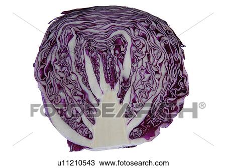 Stock Image - Cabbage. Fotosearch