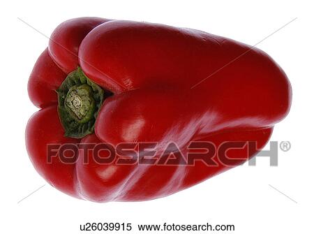 Capsicum View Large Photo Image Stock Photography - Capsicum. Fotosearch