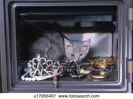 Stock Photo - Cat burglar. Fotosearch