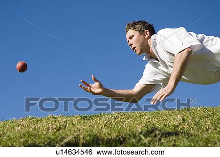 Catching the ball View Large Photo Image Stock Photograph - Catching the ball. Fotosearch